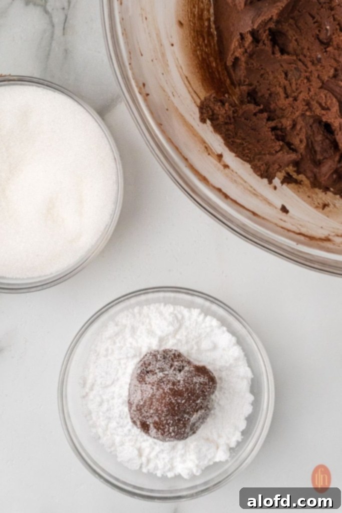 A close-up image of a dough ball coated in powdered sugar, showcasing the texture and appearance of the cookies before baking.