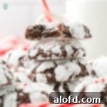 Top 10 Holiday Cookie Delights 6 Chocolate crinkle cookies recipe.
