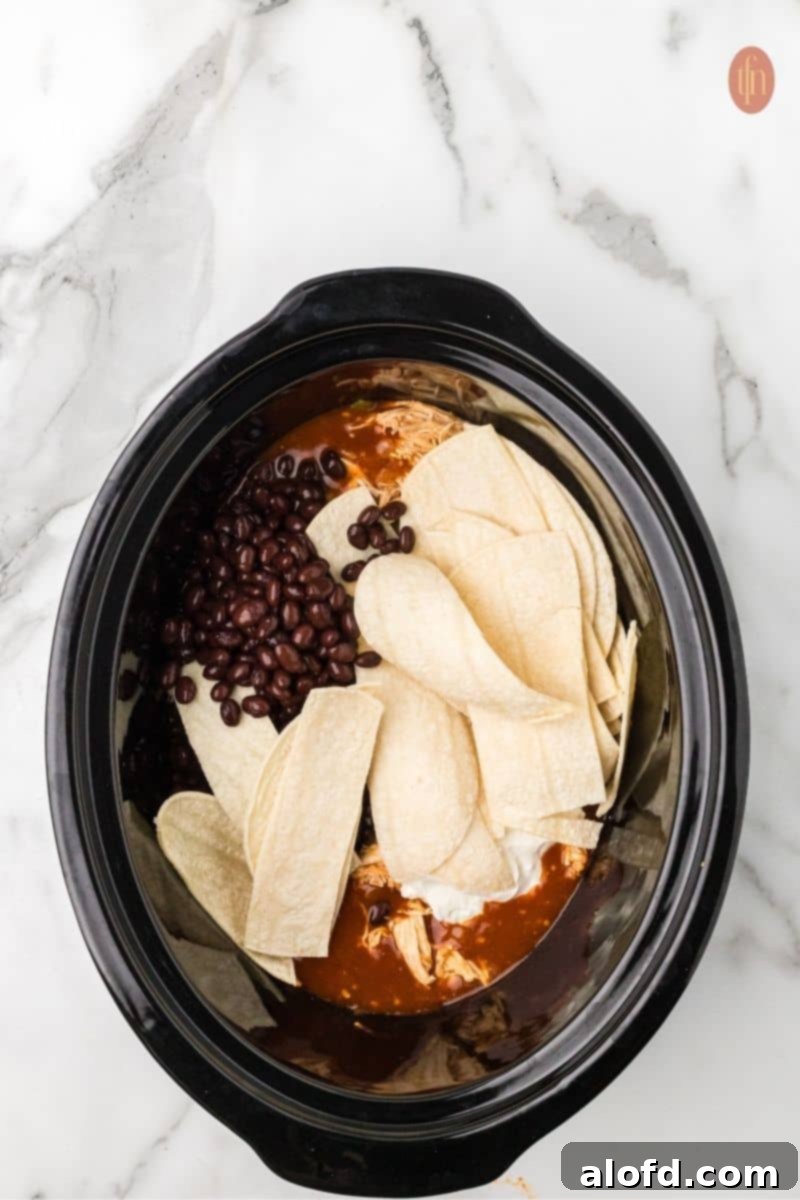 Close-up of the chicken and enchilada mixture, topped with tortilla strips and black beans.
