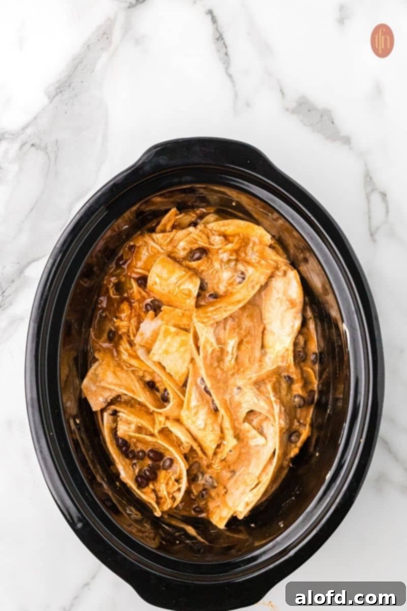 Crockpot Chicken Enchiladas ready to be served.