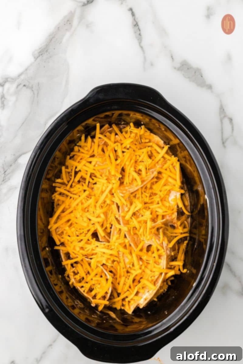A bowl of cheesy Crockpot Chicken Enchiladas, ready to eat.