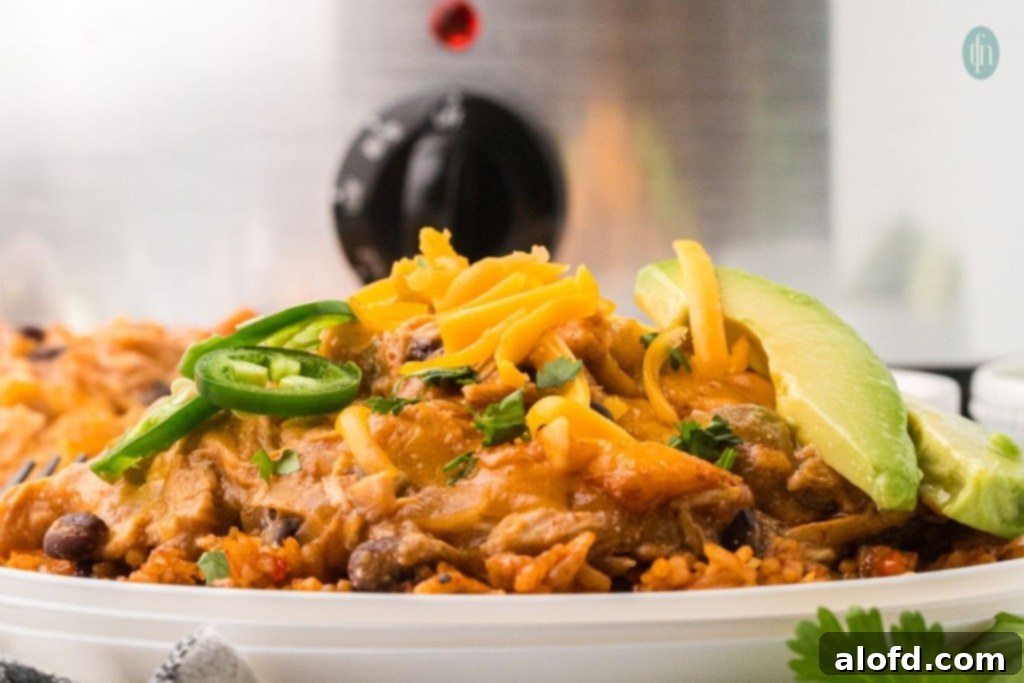 A delicious plate of Crockpot Chicken Enchiladas, garnished with fresh cilantro.