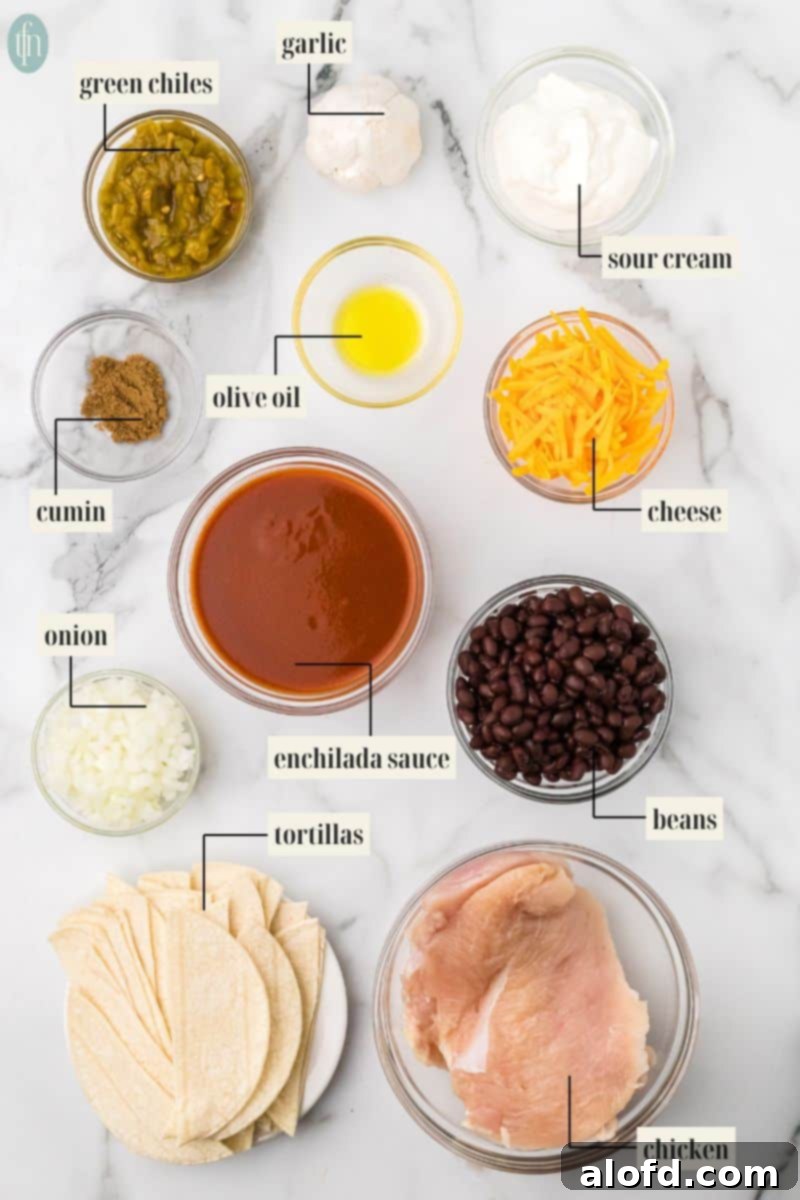Close-up of Crockpot Chicken Enchiladas ingredients: chicken, green chiles, garlic, sour cream, olive oil, cumin, cheese, onion, enchilada sauce, beans, and tortillas.