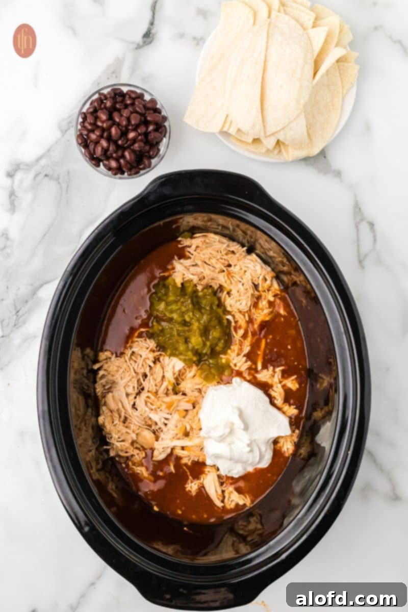 Shredded chicken with enchilada sauce and sour cream, with bowls of black beans and tortillas on the side.