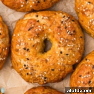 Sourdough Bagels Artisan Sourdough Bagels 17 A close up image of sourdough bagel.