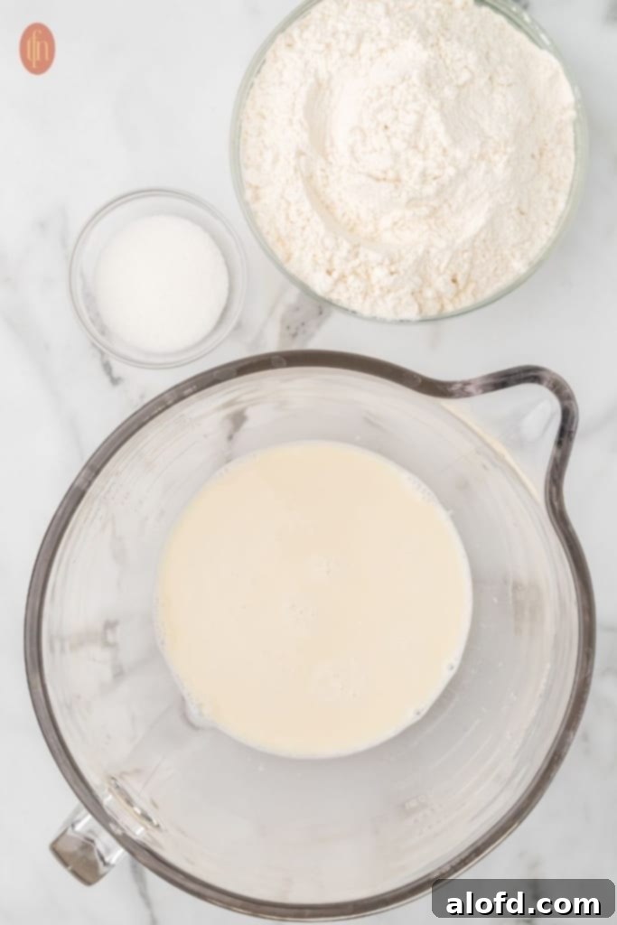 Sourdough Bagels Artisan Sourdough Bagels 6 Bread flour and baking soda for sourdough bagels.