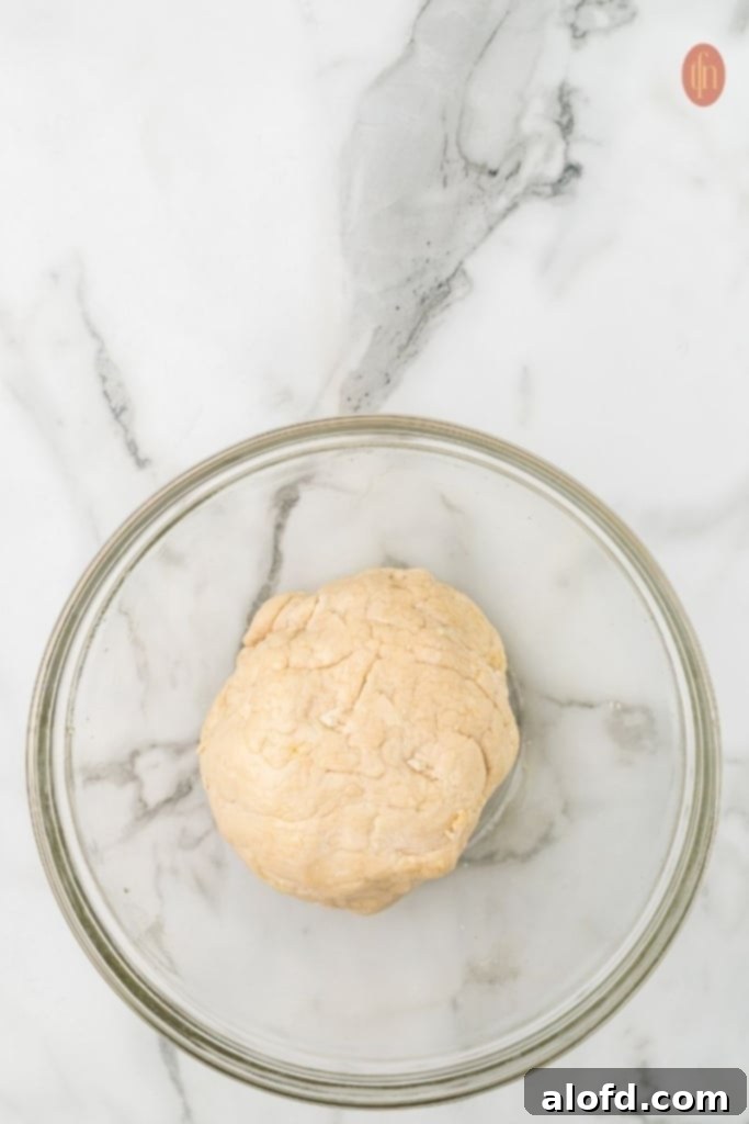 Sourdough Bagels Artisan Sourdough Bagels 9 Bowl of dough.