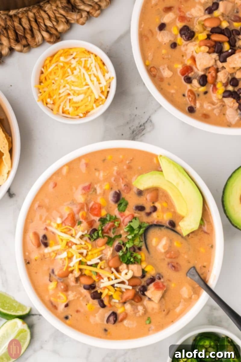 Chicken Taco Soup Delight 2 Chicken Taco Soup served in white bowls with toppings