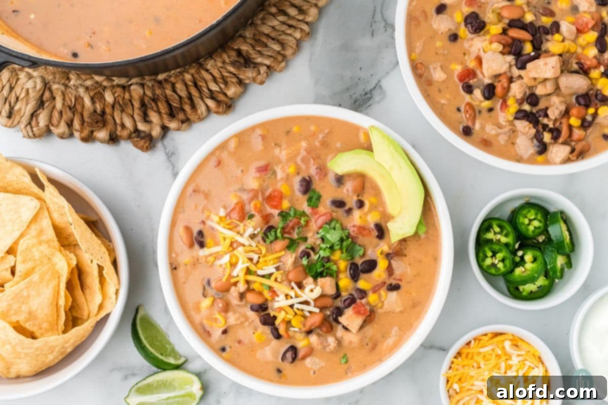 Chicken Taco Soup Delight 15 Overhead view of Chicken Taco Soup with toppings