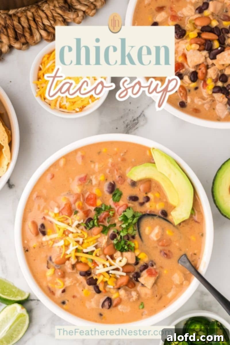 Chicken Taco Soup Delight 17 Chicken Taco Soup Pin Image