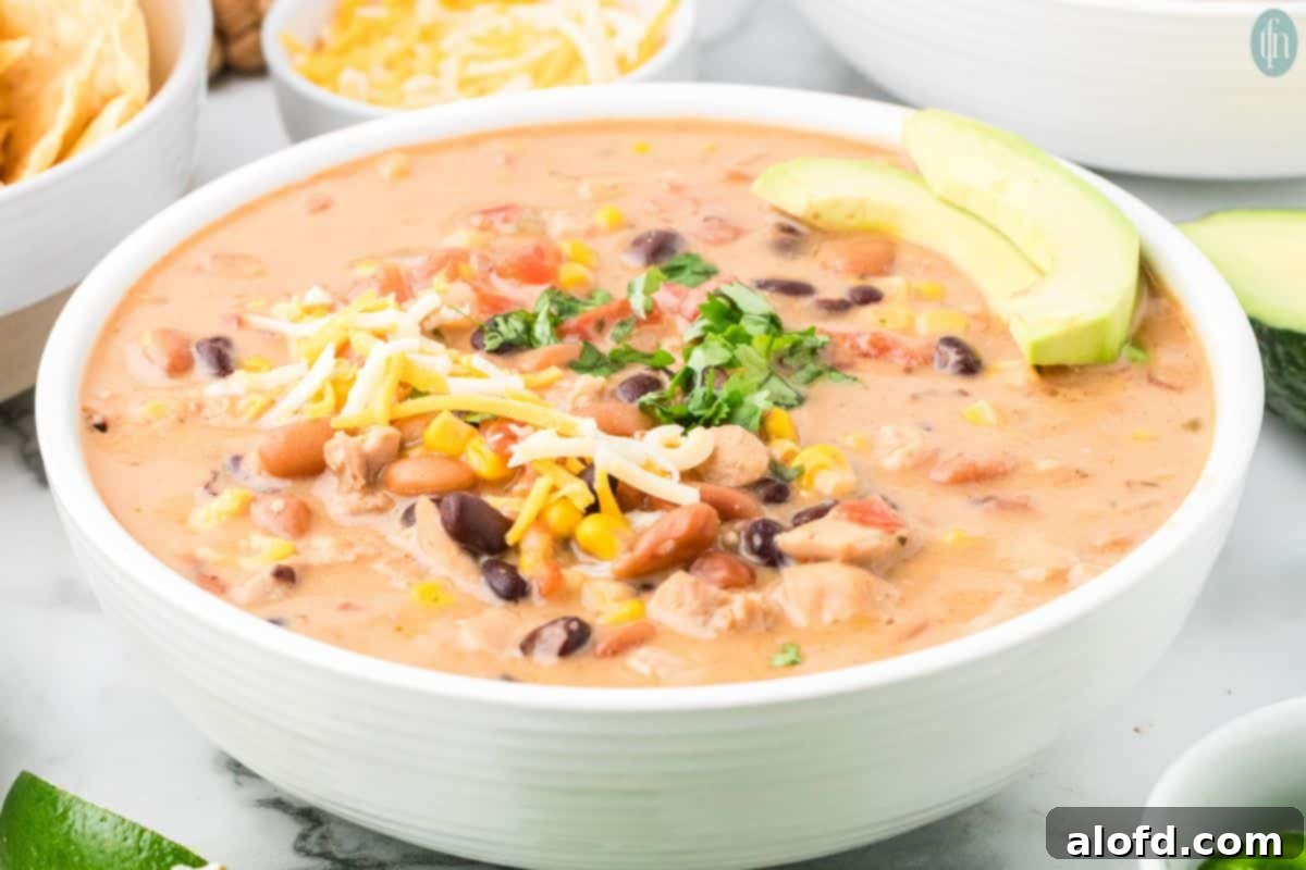 Chicken Taco Soup Delight 3 Close-up of Chicken Taco Soup in a white bowl