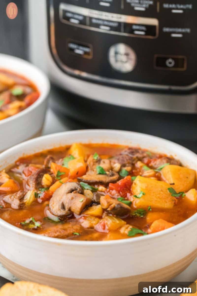 Instant Pot Beef and Barley Soup in a bowl, with the Instant Pot in the background.