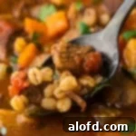 Close up of Instant Pot Beef and Barley Soup