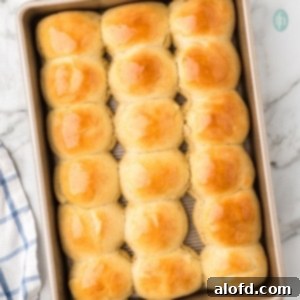 Quick Dinner Rolls 16 Freshly baked golden dinner rolls in a baking tray.