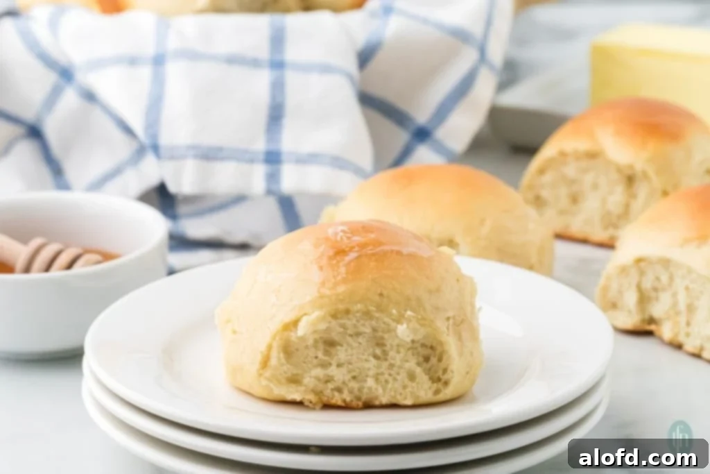 Quick Dinner Rolls 3 A plate of freshly baked dinner rolls.
